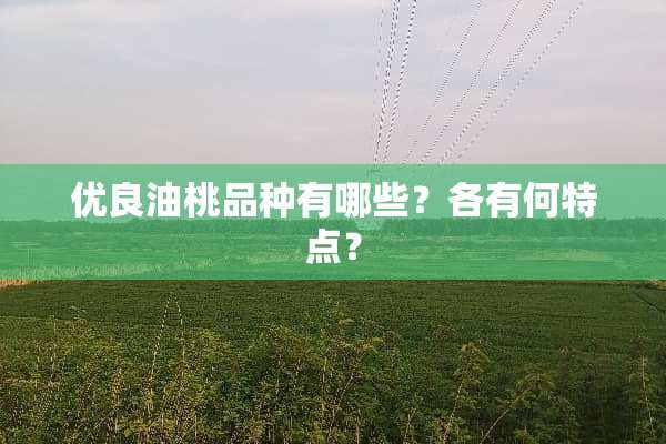 优良油桃品种有哪些？各有何特点？