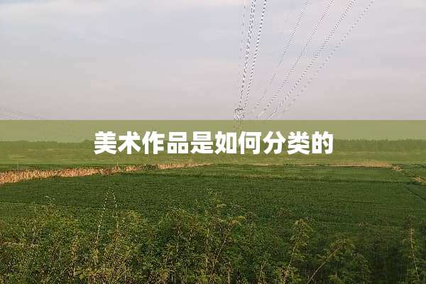 美术作品是如何分类的