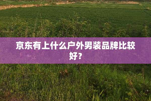 京东有上什么户外男装品牌比较好？