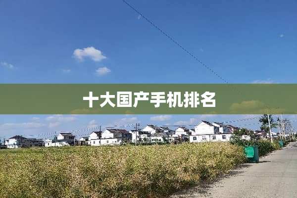 十大国产手机排名