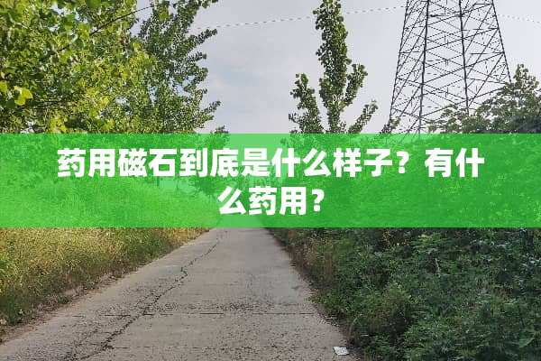 药用磁石到底是什么样子？有什么药用？