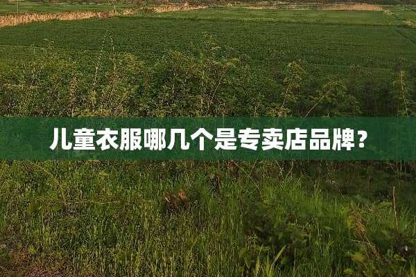 儿童衣服哪几个是专卖店品牌？