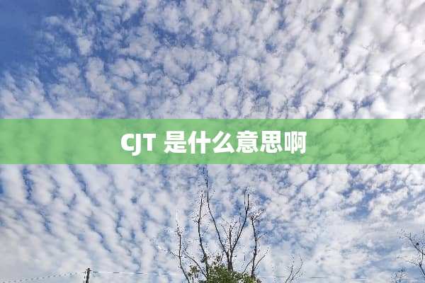 CJT 是什么意思啊