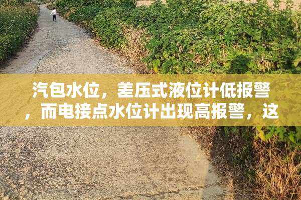 汽包水位，差压式液位计低报警，而电接点水位计出现高报警，这是什么原因造成的？