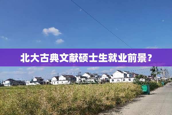 北大古典文献硕士生就业前景？