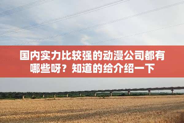 国内实力比较强的动漫公司都有哪些呀？知道的给介绍一下
