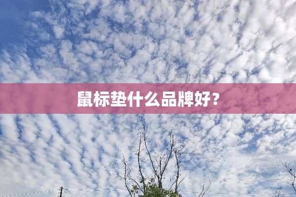 鼠标垫什么品牌好？