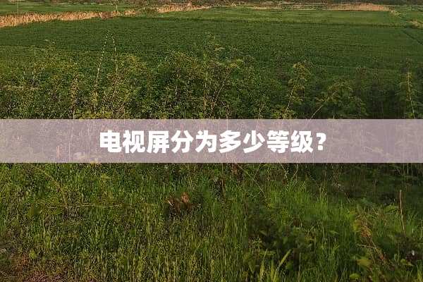 电视屏分为多少等级？