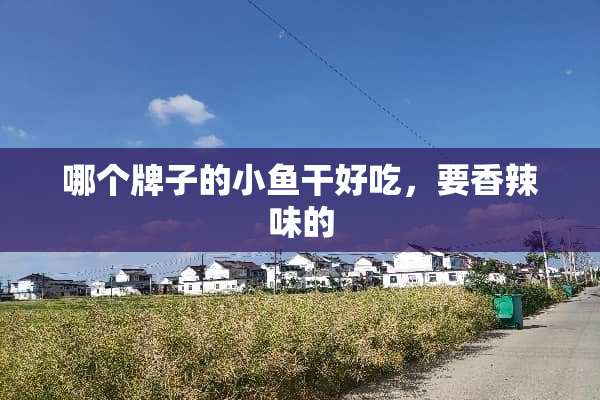 哪个牌子的小鱼干好吃，要香辣味的