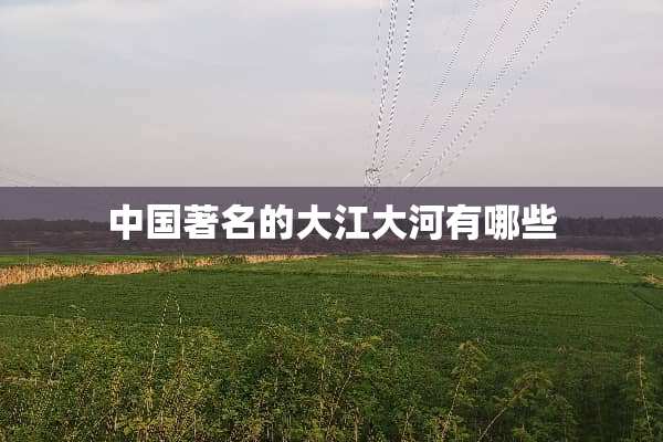中国著名的大江大河有哪些