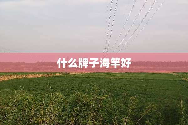 什么牌子海竿好