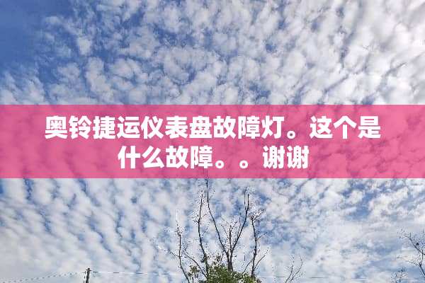 奥铃捷运仪表盘故障灯。这个是什么故障。。谢谢