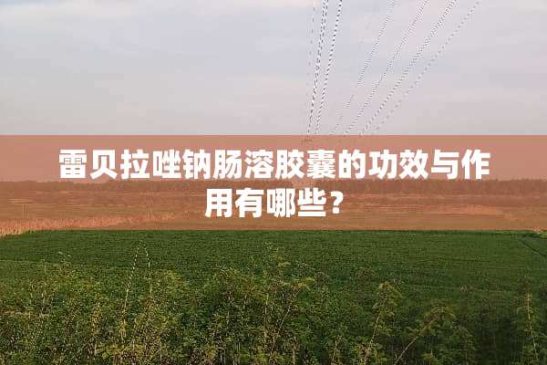 雷贝拉唑钠肠溶胶囊的功效与作用有哪些？