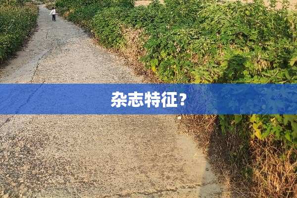 杂志特征？