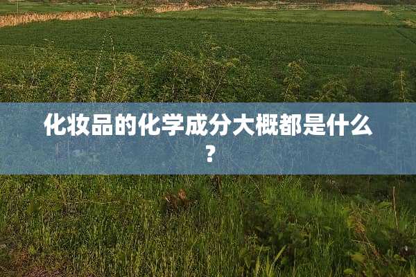 化妆品的化学成分大概都是什么？
