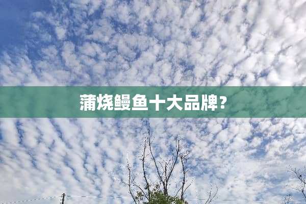 蒲烧鳗鱼十大品牌？