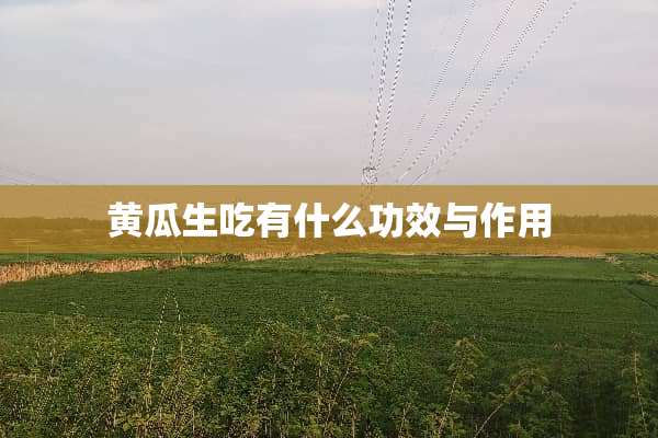黄瓜生吃有什么功效与作用