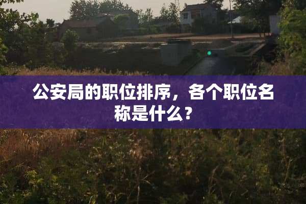 公安局的职位排序，各个职位名称是什么？