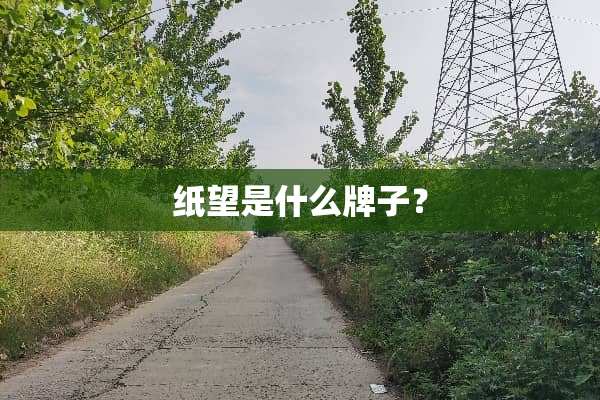 纸望是什么牌子？