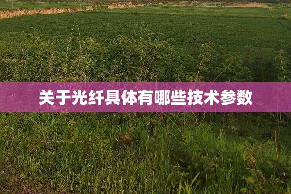 关于光纤具体有哪些技术参数