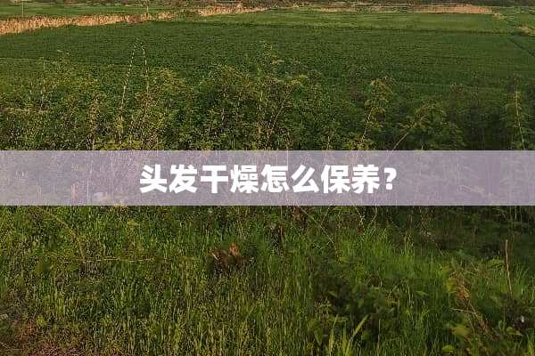 头发干燥怎么保养？