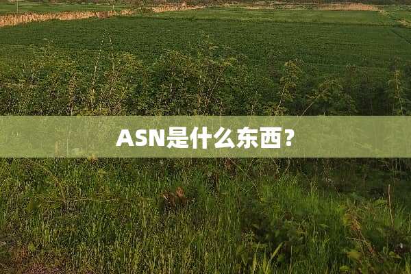 ASN是什么东西？
