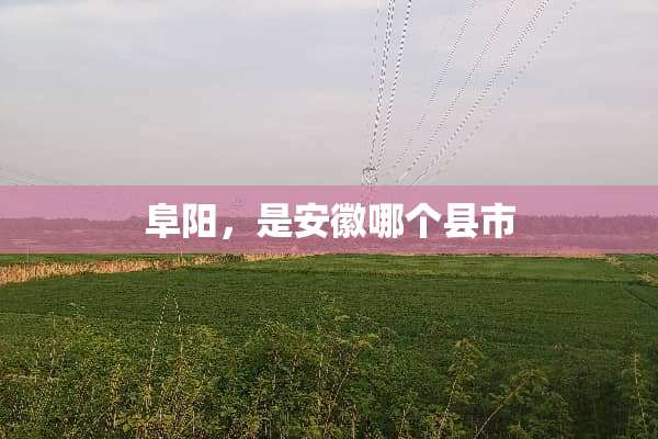 阜阳，是安徽哪个县市