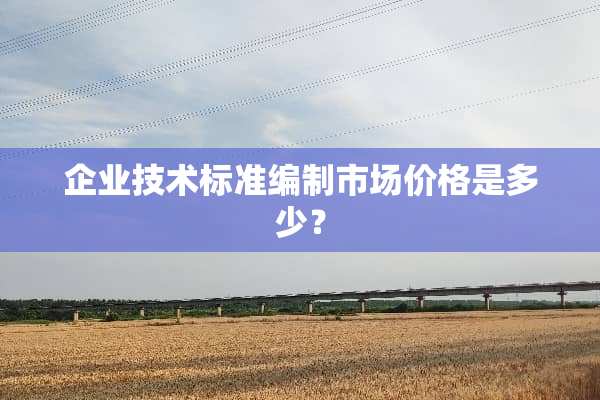 企业技术标准编制市场价格是多少？