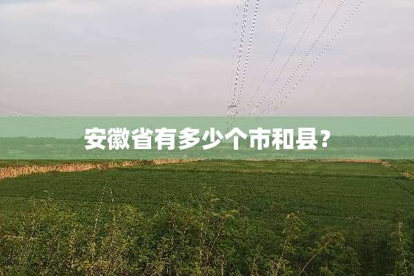 安徽省有多少个市和县？