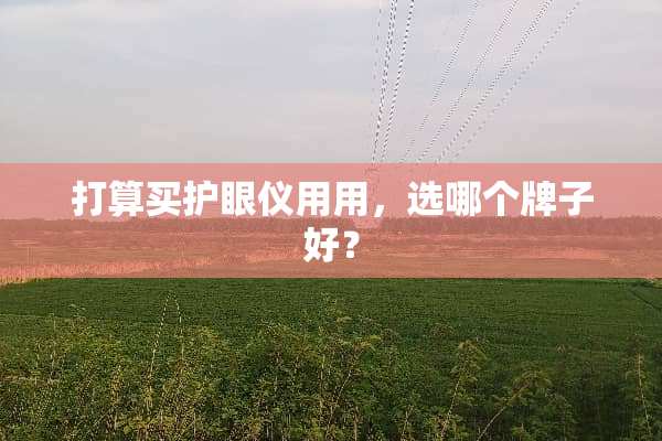 打算买护眼仪用用，选哪个牌子好？