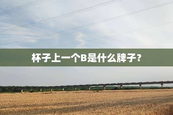 杯子上一个B是什么牌子？