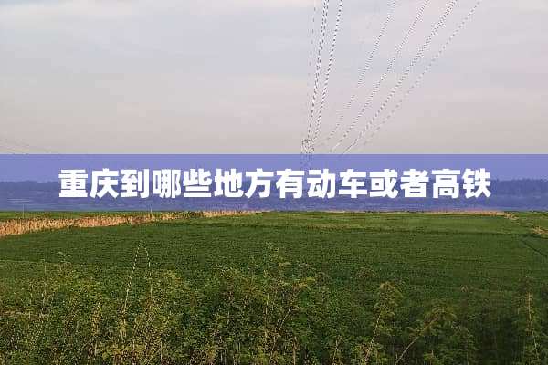 重庆到哪些地方有动车或者高铁