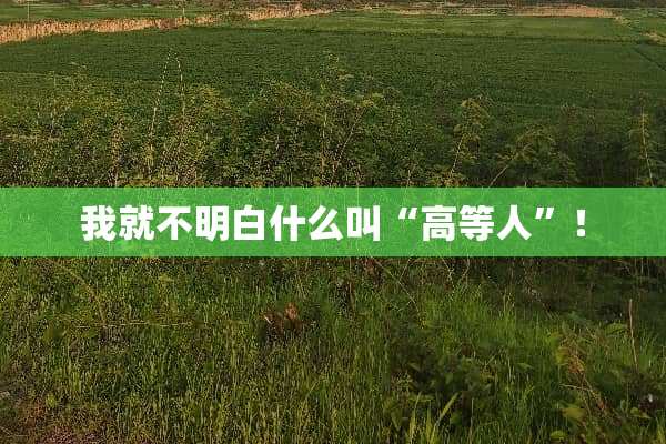 我就不明白什么叫“高等人”！
