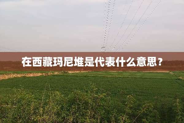 在西藏玛尼堆是代表什么意思？