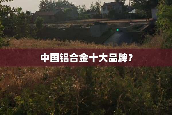中国铝合金十大品牌？