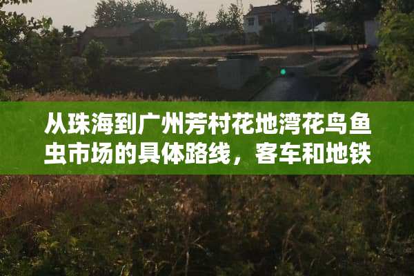 从珠海到广州芳村花地湾花鸟鱼虫市场的具体路线，客车和地铁