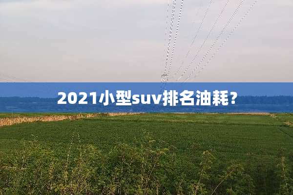 2021小型suv排名油耗？