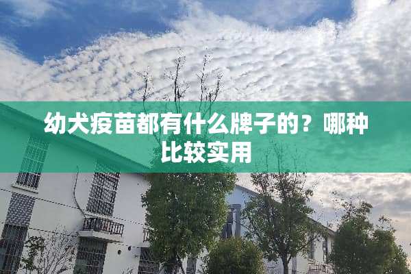 幼犬**都有什么牌子的？哪种比较实用