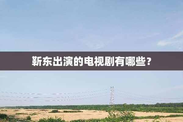 靳东出演的电视剧有哪些？