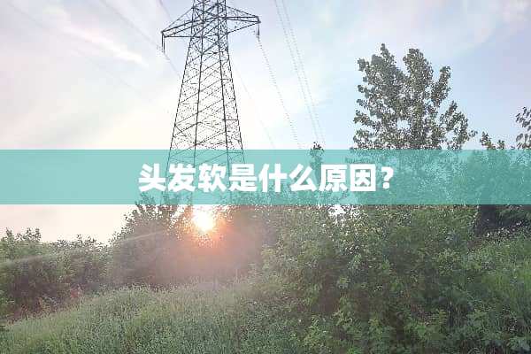 头发软是什么原因？
