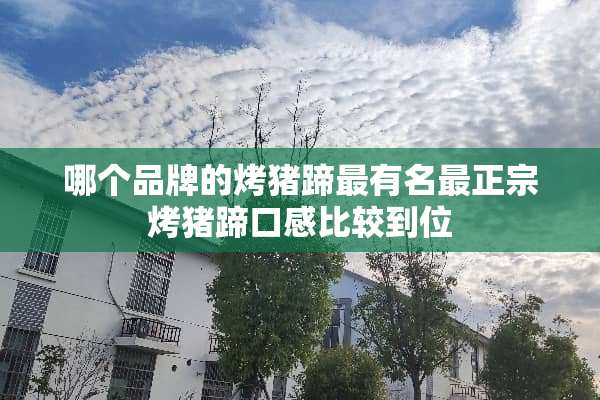 哪个品牌的烤猪蹄最有名最正宗烤猪蹄口感比较到位