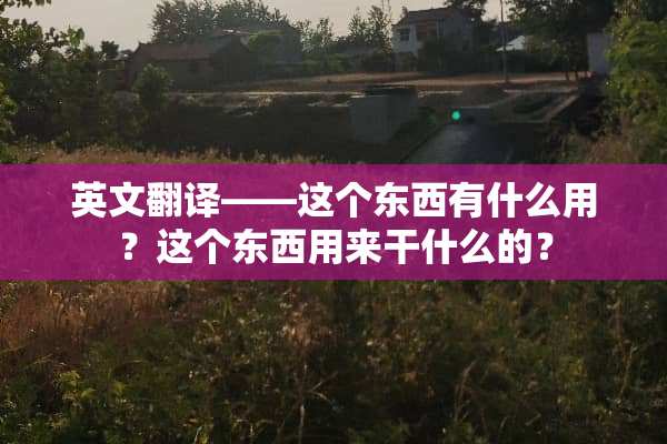 英文翻译——这个东西有什么用？这个东西用来干什么的？