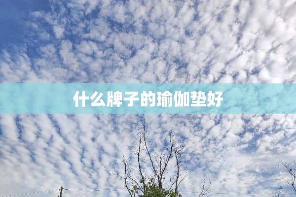 什么牌子的瑜伽垫好