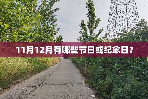 11月12月有哪些节日或纪念日？