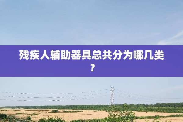 残疾人辅助器具总共分为哪几类？