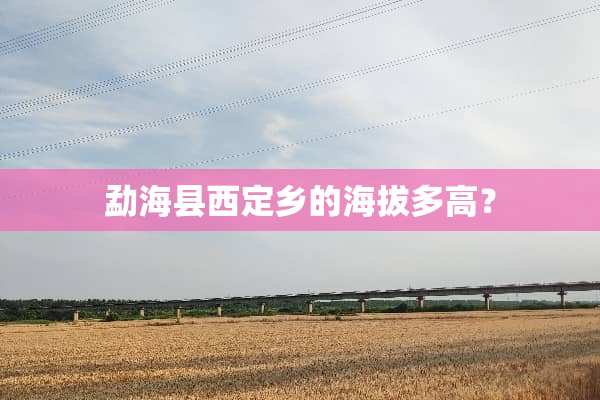 勐海县西定乡的海拔多高？