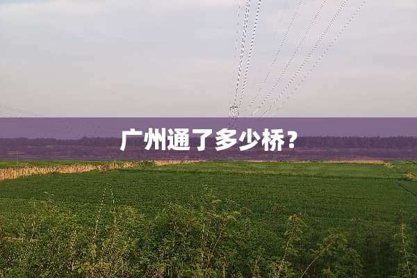 广州通了多少桥？