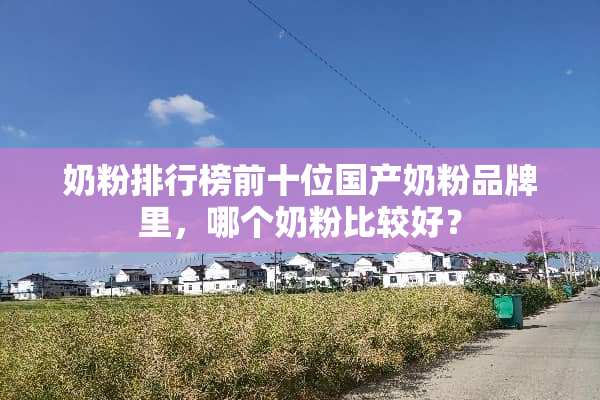 奶粉排行榜前十位国产奶粉品牌里，哪个奶粉比较好？