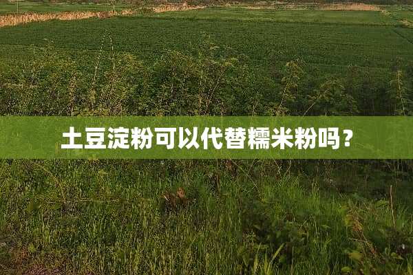 土豆淀粉可以代替糯米粉吗？