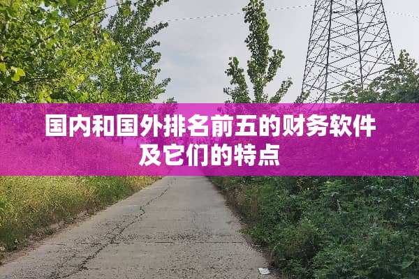 国内和国外排名前五的财务软件及它们的特点